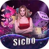 28bet com